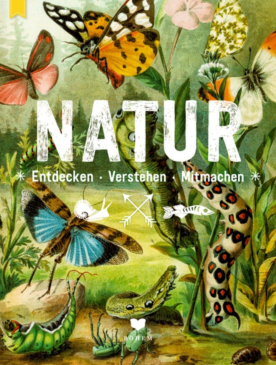 Natur Entdecken Verstehen Mitmachen Kinderbuchlesen De