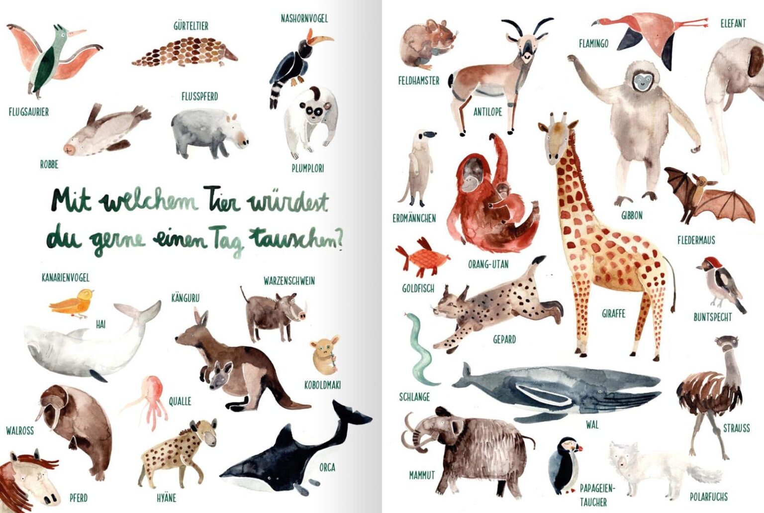 Wenn Du Ein Tier Wärst Test Die Tierwelt, die dir gefällt : Kinderbuchlesen.de