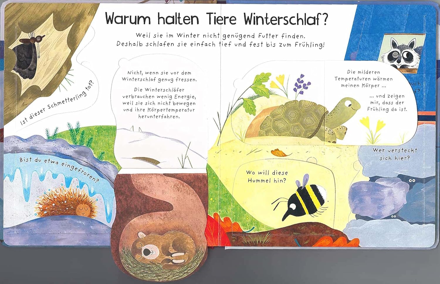 Wo sind die Tiere im Winter? - Kinderbuchlesen.de